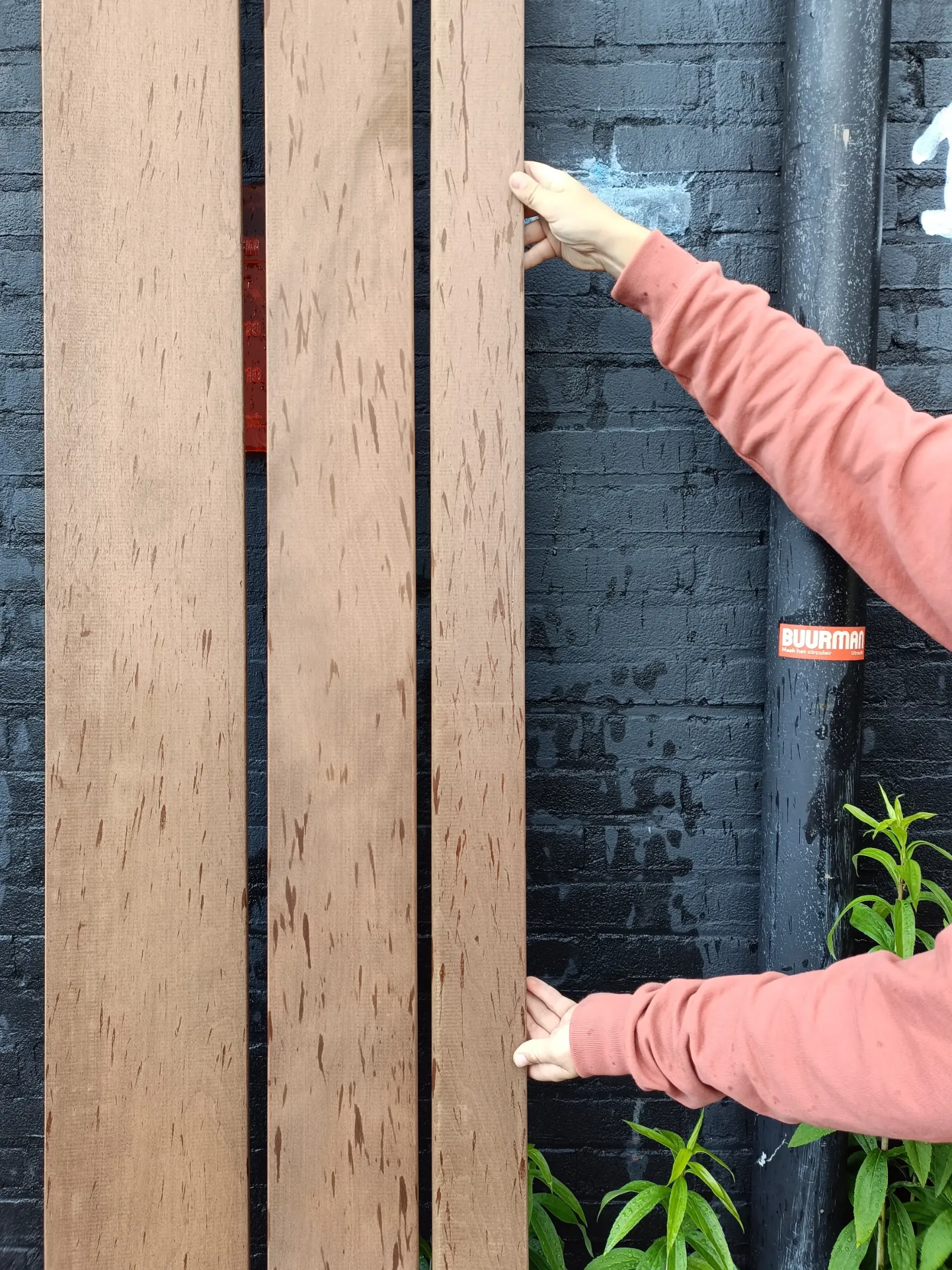 Platowood Bahia P05 Open, 2750x185x18