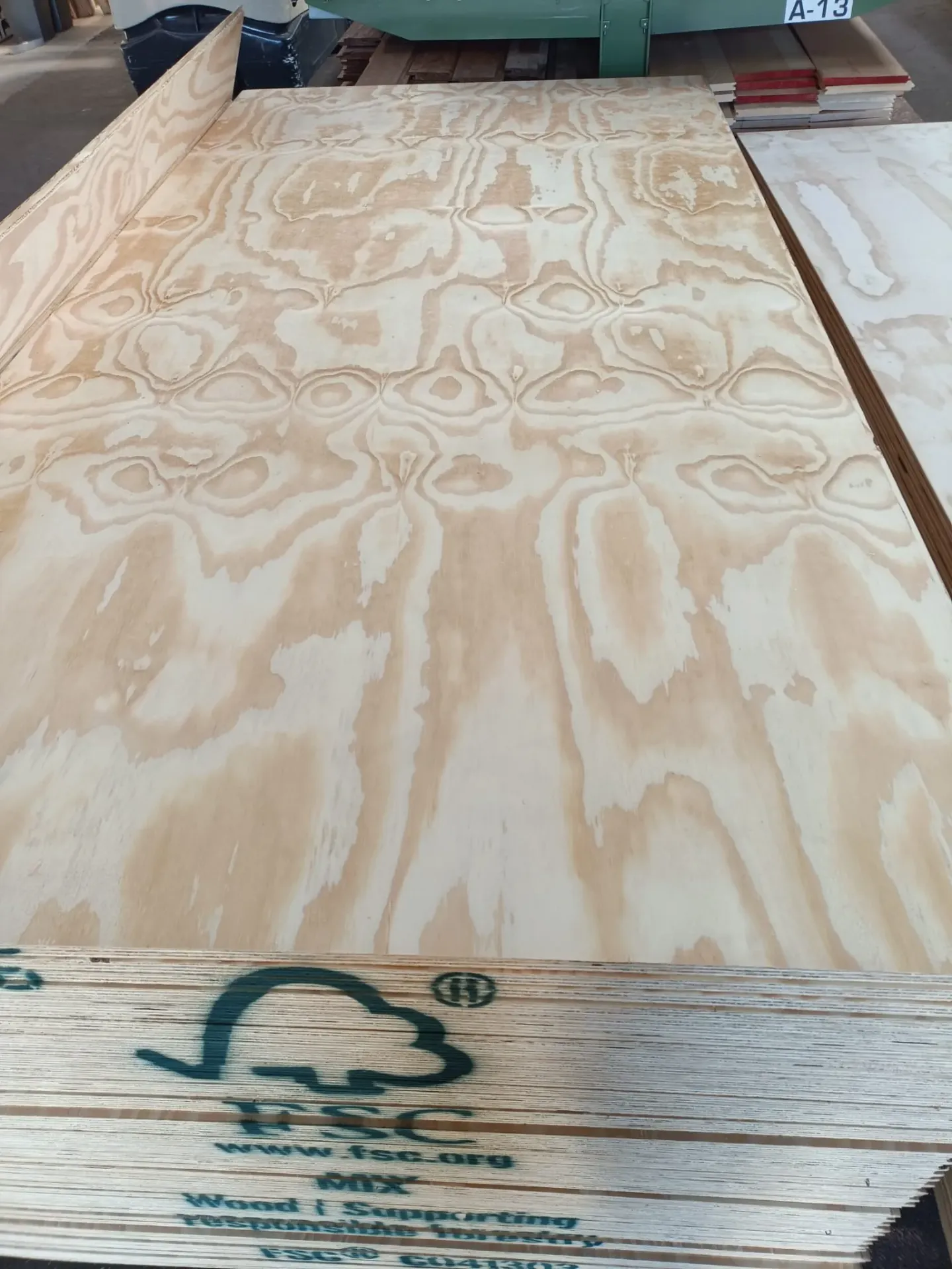 Underlayment Taeda pine TG2